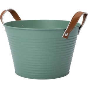 Intratuin plantenteil Radi groen D 23 H 15 cm