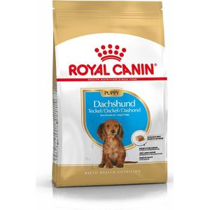 Royal Canin hondenvoer Dachshund puppy 1,5 kg