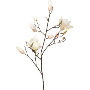 Intratuin kunsttak Magnolia wit H 95 cm