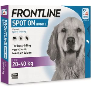 Frontline teken- en vlooiendruppels spot-on hond L 20-40 kg 4 stuks