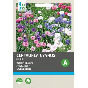 Intratuin bloemenzaad Korenbloem dubbel (Centaurea cyanus)