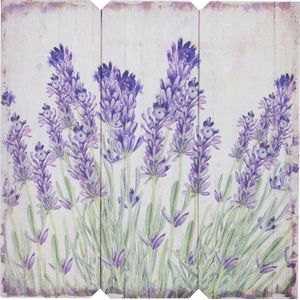 Intratuin buitenschilderij lavendel klein 40 x 40 cm paars / wit