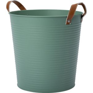 Intratuin plantenteil Radi groen D 26 H 26 cm