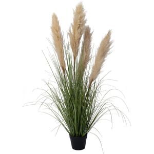 Kunstplant Riet crème 65 x 65 x 123 cm | in pot | voor binnen | Intratuin