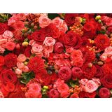 PB-Collection tuinschilderij bloemen rood 50 x 2 x 70 cm