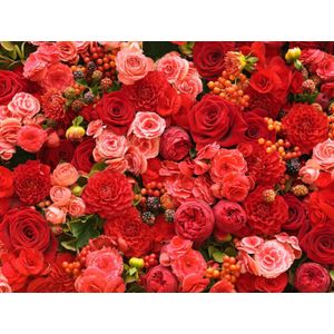 PB-Collection tuinschilderij bloemen rood 50 x 2 x 70 cm