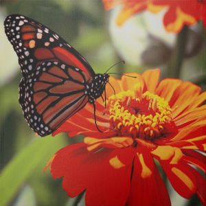 Intratuin tuinschilderij Canva vlinder 40 x 30 cm