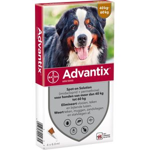 Advantix Spot-on 600 anti vlooien- en tekenmiddel 4 pipetten 40 - 60 kg