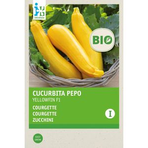 Intratuin Biologisch groentezaad Gele Courgette (Curcurbita pepo 'Yellowfin')