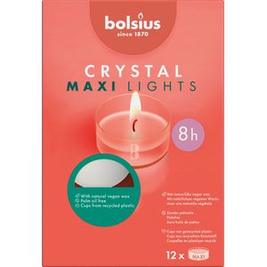 Crystal Lights Maxilight Wit met Transparante Beker 8h Bx12