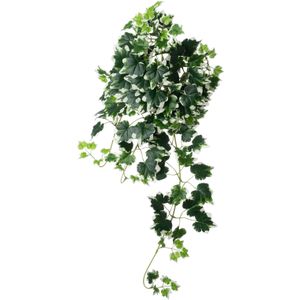 Intratuin kunsthangplant Klimop witbont 15 x 6 x 60 cm