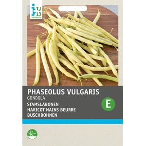Intratuin groentezaad Stamslabonen (Phaseolus vulgaris 'Gondola')