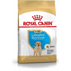 Royal Canin hondenvoer Labrador Retriever puppy 12 kg