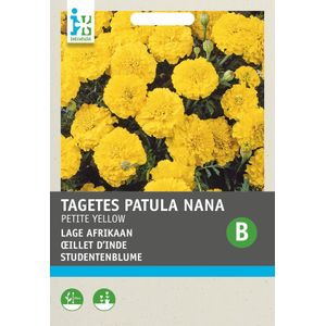 Intratuin bloemenzaad Afrikaantje dubbel laag (Tagetes patula nana 'Petite Yellow')