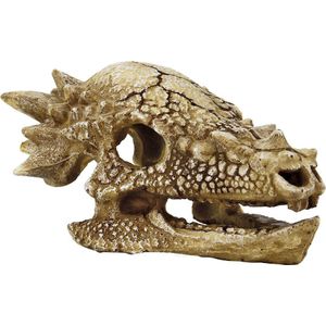 SuperFish aquarium decoratie schedel T-rex beige 16,7 x 12,4 x 9 cm