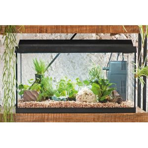 Juwel aquarium Primo 60 met filter zwart