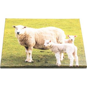 Farmwood Animals tuinschilderij schapen multi 40 x 0,5 x 30 cm