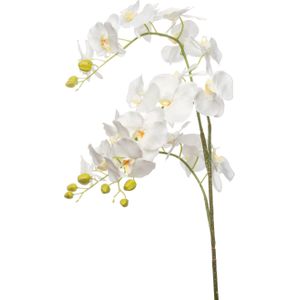 Kunstbloem Phalaenopsis (Orchidee) wit 137 cm