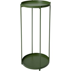 Intratuin plantentafel Salix groen D 27 H 46 cm