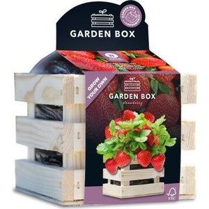 Baza Gardenbox kweekset reuze Aardbei 12 x 11 x 10 cm
