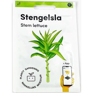 Makkelijke Moestuin groentezaad Stengelsla (Lactuca sativa var. angustana)