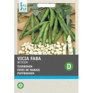 Intratuin groentezaad Tuinboon (Vicia faba 'Witkiem')
