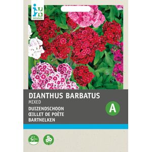 Intratuin bloemenzaad Duizendschoon dubbel gemengd (Dianthus chinensis)