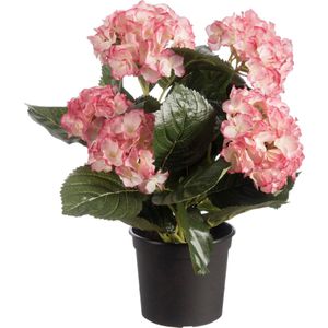 Louis Maes kunstplant Hortensia crème | Ø 24 H 44 cm | in pot | voor binnen