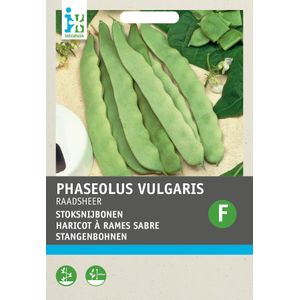 Intratuin groentezaad Stoksnijboon (Phaseolus vulgaris 'Raadsheer type Veense')