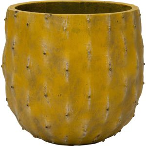 Bloempot buiten Cactus geel Ø 34 H 31 cm | Intratuin