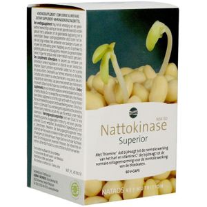 Nattokinase Nsk-sd 100mg 60 stuks