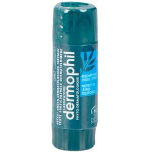 Dermophil Droge lippen Stick 1 stuks