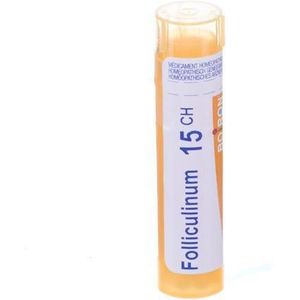Boiron Folliculinum 15CH Granulen 1 stuks