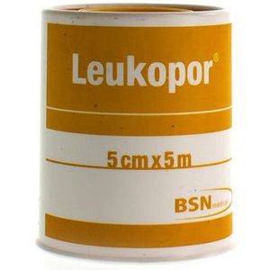 Leukopor 5cmx5m42078746 1 stuks
