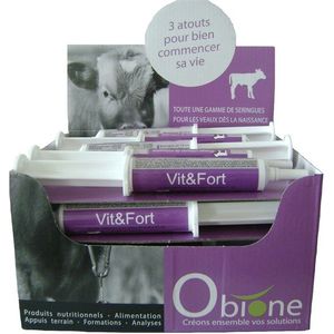 VIT&FORT SYRINGE 20X15ML