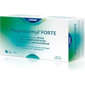 Magnepamyl forte Capsules 60 stuks