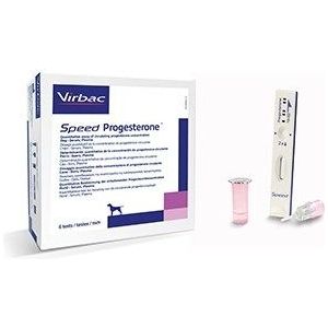 SPEED PROGESTERONE TEST 6ST 6 stuks