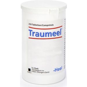 Heel Traumeel  Tabletten 250 stuks