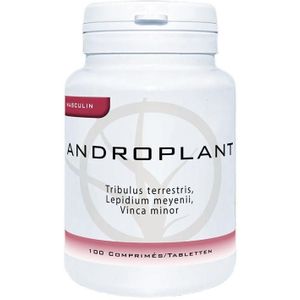 Dynarop Androplant Tabletten 100 stuks