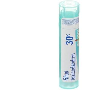 Boiron Rhus Toxicodendron 30K Granulen 1 stuks