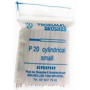 Proximal brush cilindrisch small p20 50 stuks