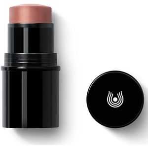 Dr. Hauschka Lip to Cheek 01 apricot Stick 1 stuks