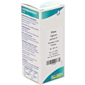 Boiron Ribes nigrum D1 Oplossing 60ml