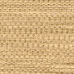 Casamance Golfe Du Bengale Zostera - 75971936