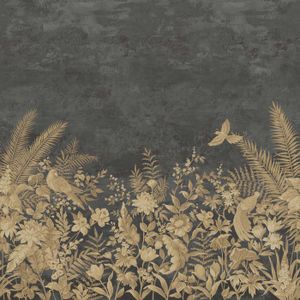 Arte Birds Of Paradise ["Panorama"] Barraband'S Garden BOP701