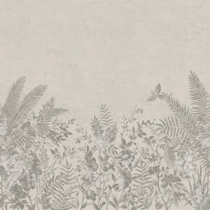 Arte Birds Of Paradise ["Panorama"] Barraband'S Garden BOP702