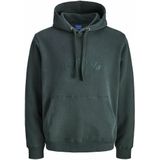 Hoodie met logo JACK & JONES. Katoen materiaal. Maten S. Groen kleur