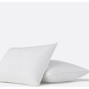 LA REDOUTE INTERIEURS - Anti-Huisstofmijtkussen - Wit - 100% Polyester