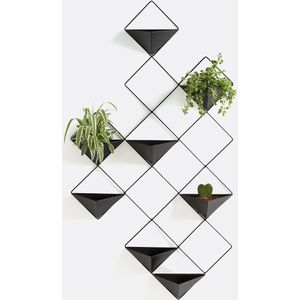 Ikebana - Wand Bloempot - Zwart - Metaal - 8 Afneembare Bloempotten