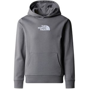 Hoodie in molton THE NORTH FACE. Molton materiaal. Maten 14/16 jaar - 158/164 cm. Grijs kleur